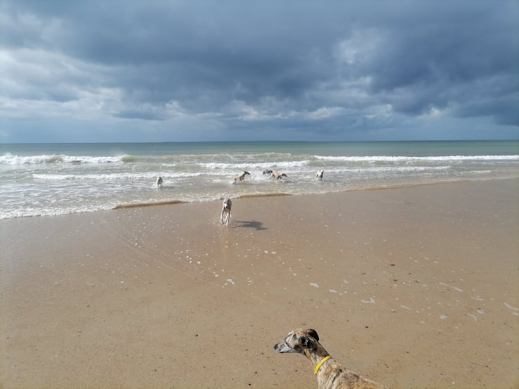 unser Zuhause in Frankreich