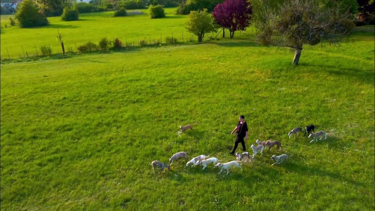 Naturatas  Zuhause