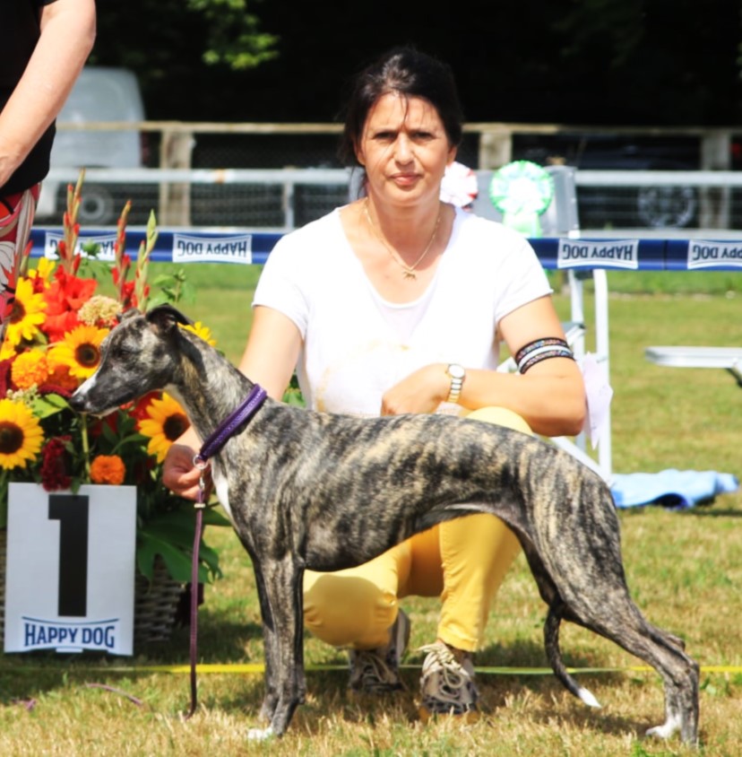 Martina im Ring mit unsere Suisse Youth & Suisse Show Championesse