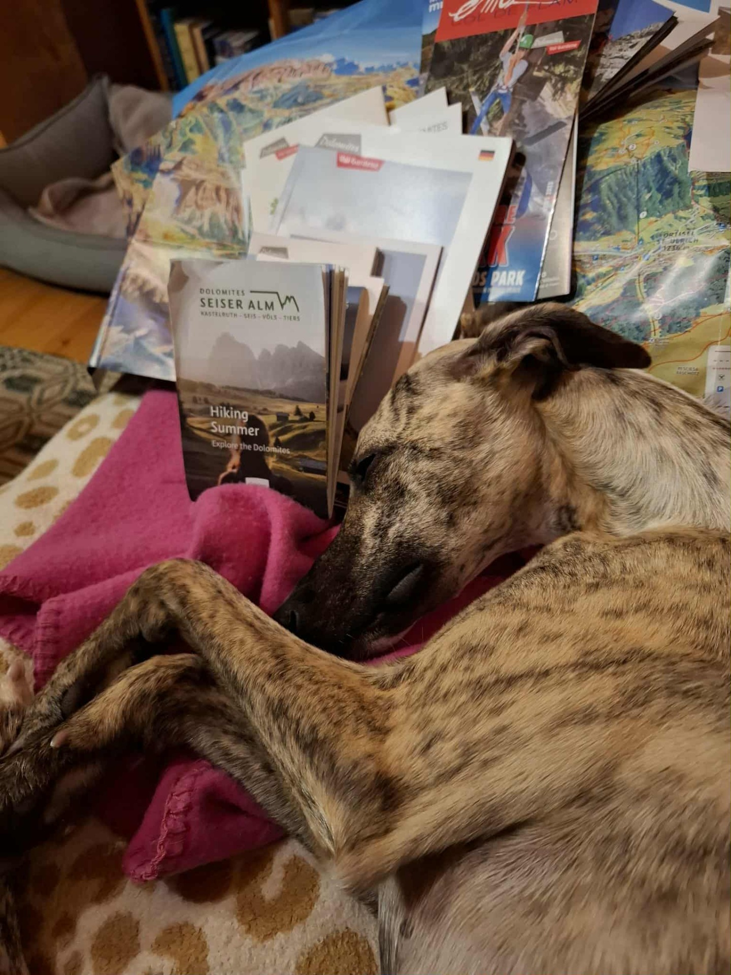 ..kann sich nicht entscheiden...gähn..sowas macht müde