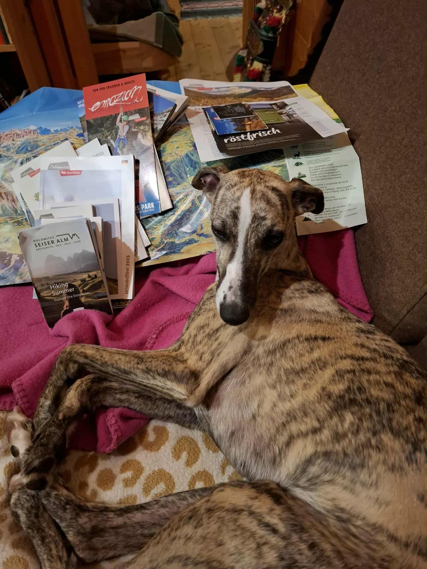 ja...wo könnte man hin in den Urlaub...Naturatas Only Girl