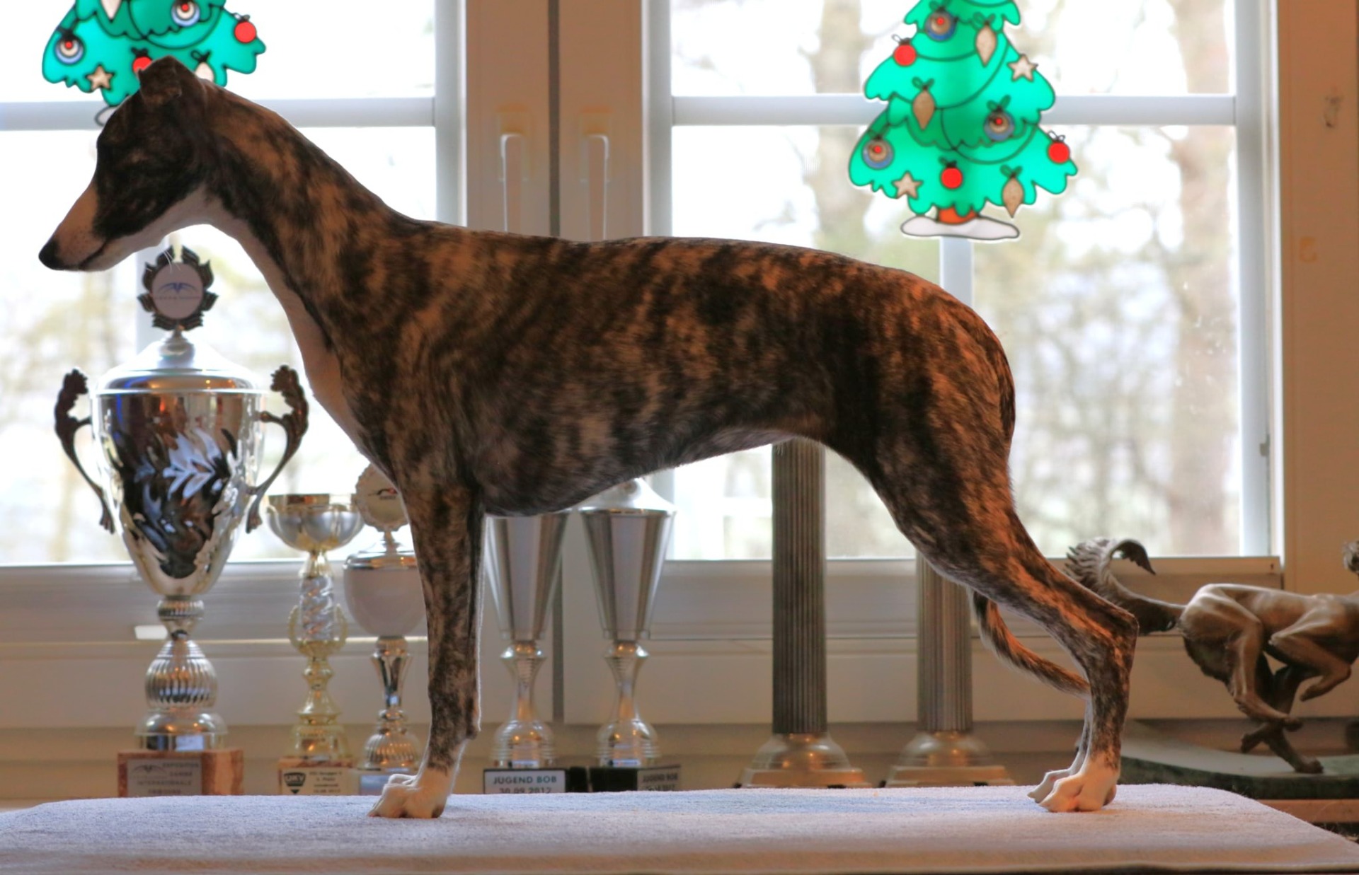 Naturatas Upppsss mit 6 Monaten...