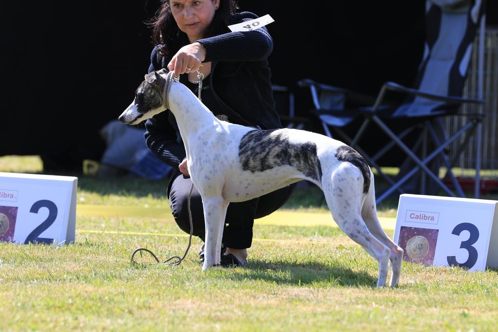 Maria mit Martina im Ring...braucht man nix zu sagen...