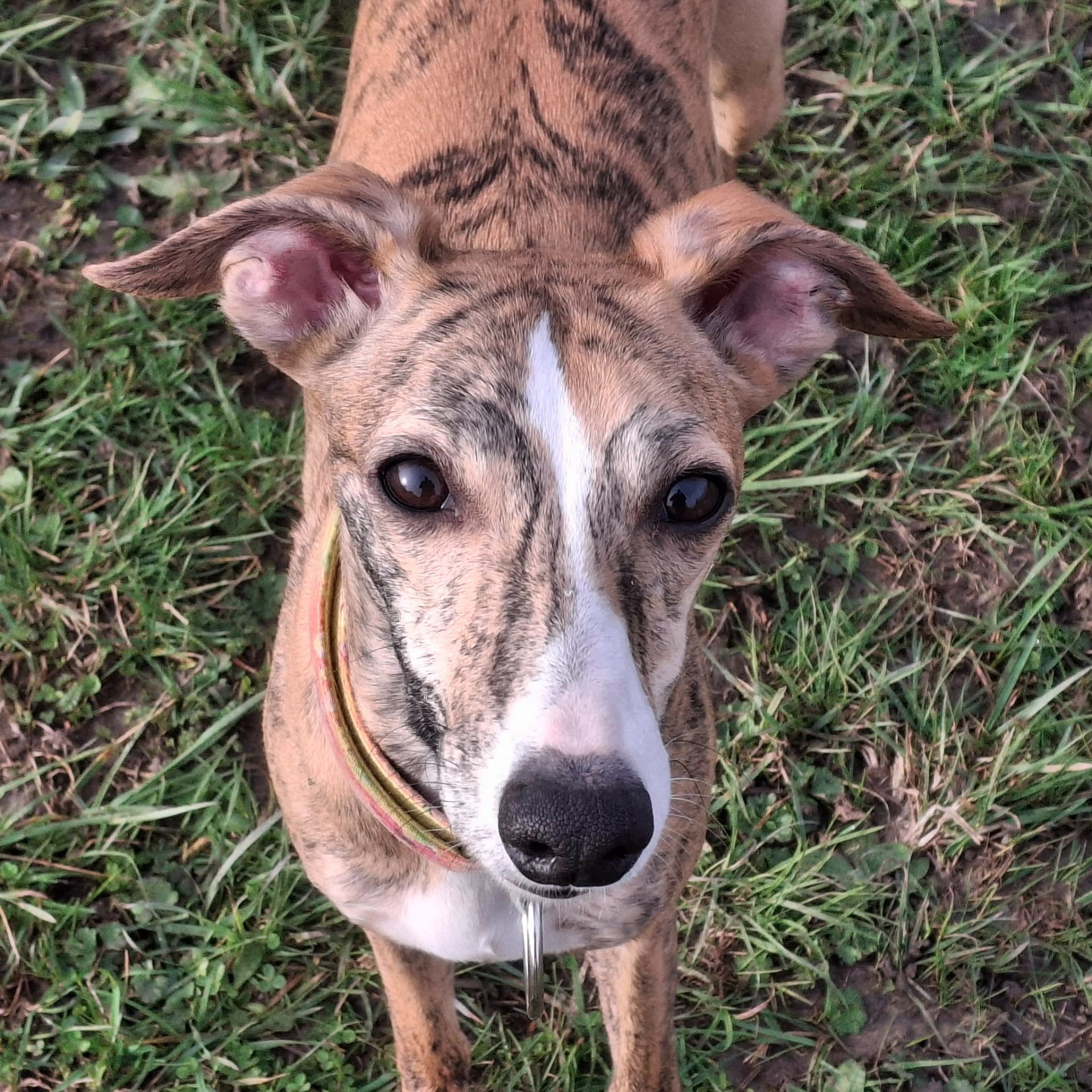 Naturatas Tahiti...natürlich schön und feminin