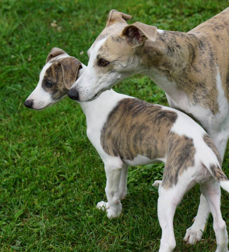 Ivy und ihre Tochter Cara