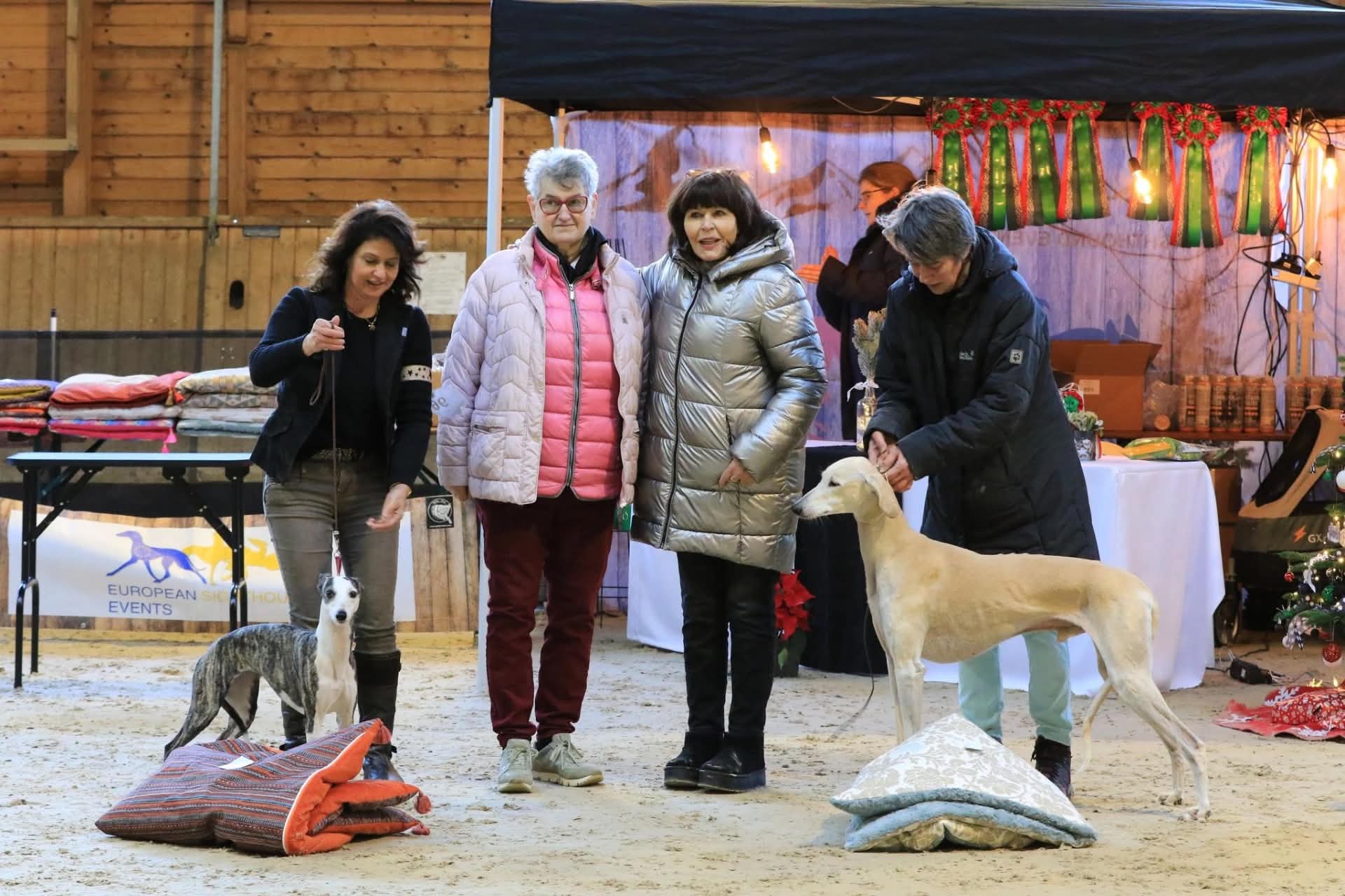 Best in Show: Lumi - Cielo Nocturno Americano Amore 