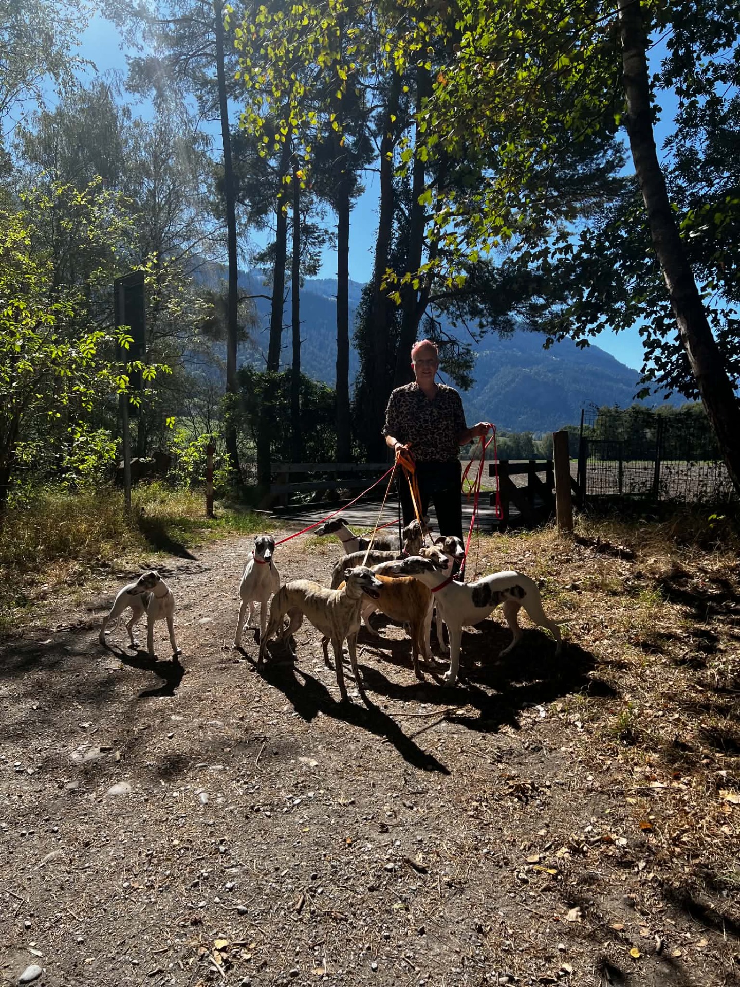 Naturatas unterwegs...
